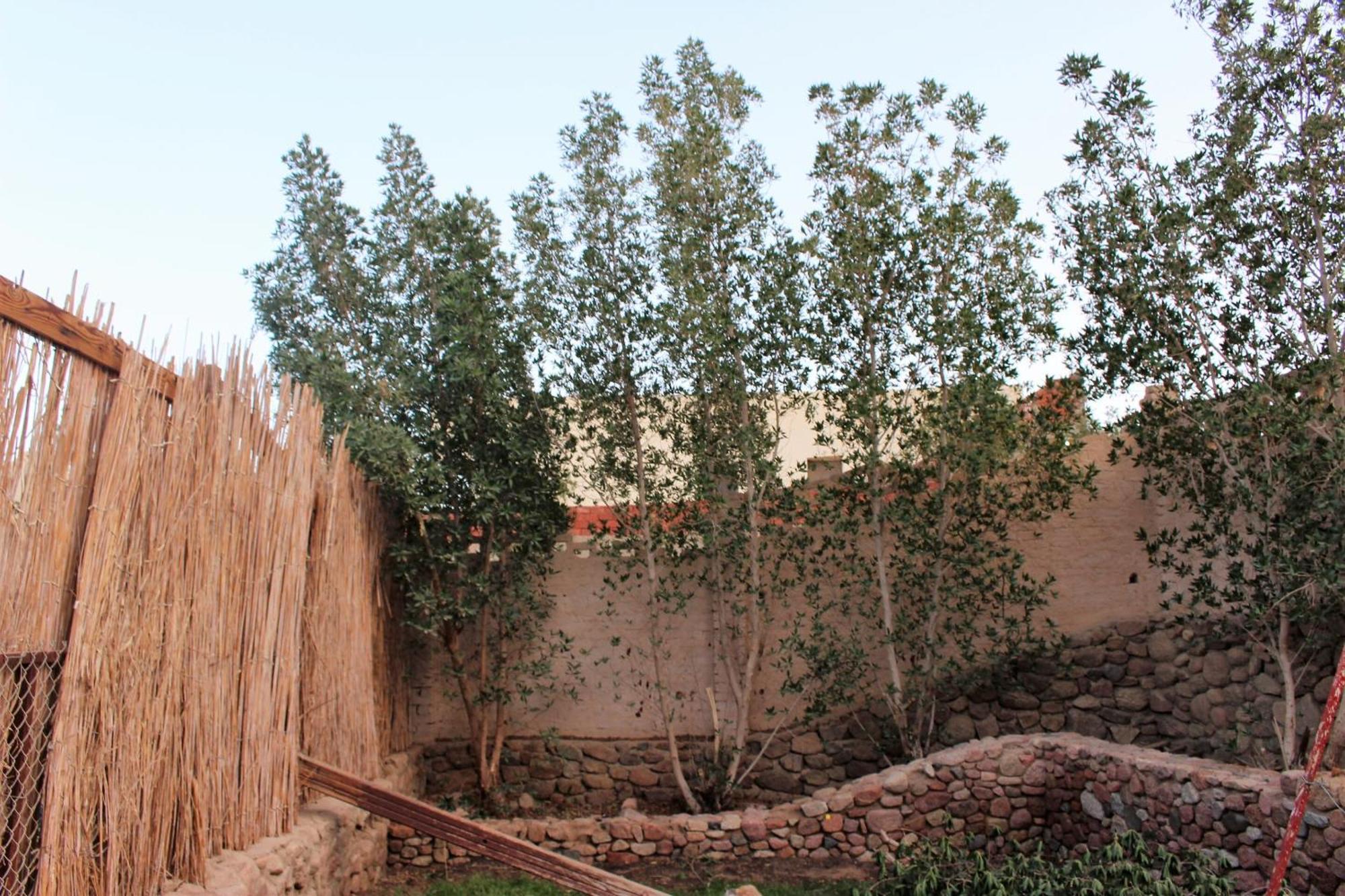 Sinai Old Spices B&B Sarm es-Sejk Szoba fotó
